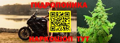 ECSTASY Ангарск
