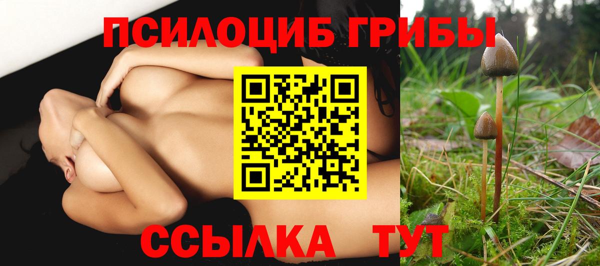 Галлюциногенные грибы GOLDEN TEACHER  Вход с VPN  Псилоцибиновые грибы ЛСД  купить наркотики сайты  Аргун 